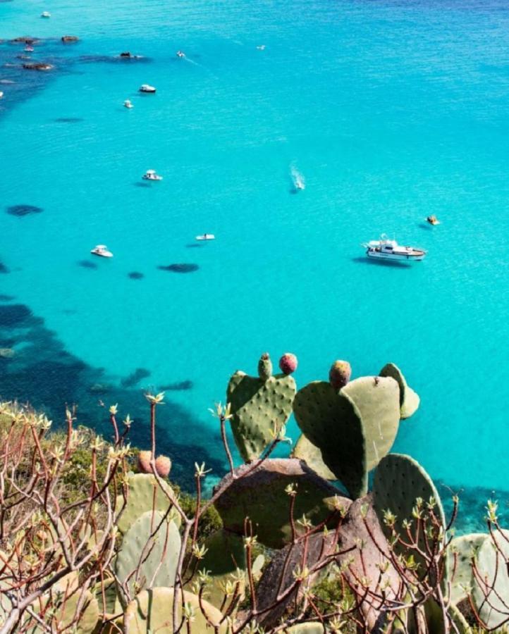 Le Terrazze Capo Vaticano Santa Maria (Vibo Valentia) Exteriér fotografie