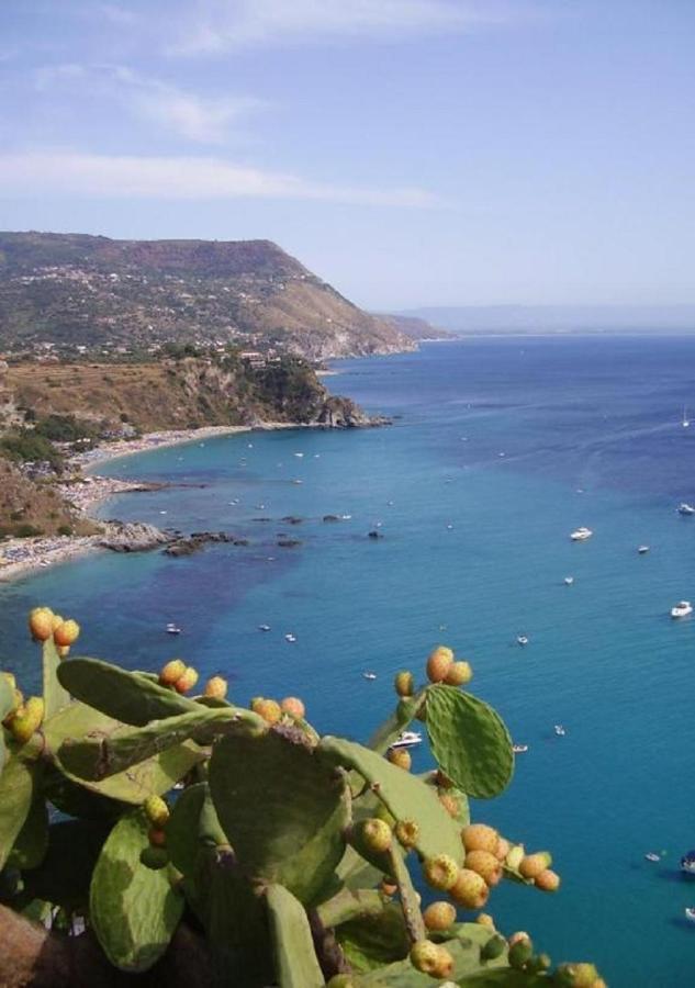 Le Terrazze Capo Vaticano Santa Maria (Vibo Valentia) Exteriér fotografie