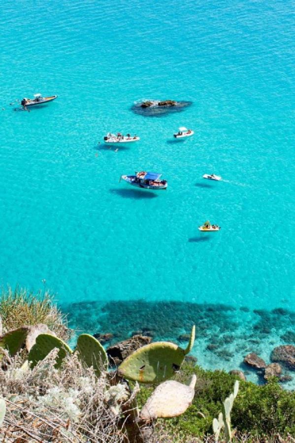 Le Terrazze Capo Vaticano Santa Maria (Vibo Valentia) Exteriér fotografie