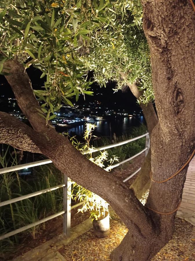 Le Terrazze Capo Vaticano Santa Maria (Vibo Valentia) Exteriér fotografie